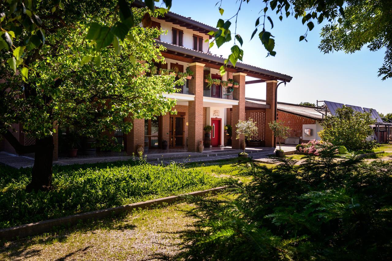 סן ויטו אל טליאמנטו Agriturismo Nonis מראה חיצוני תמונה